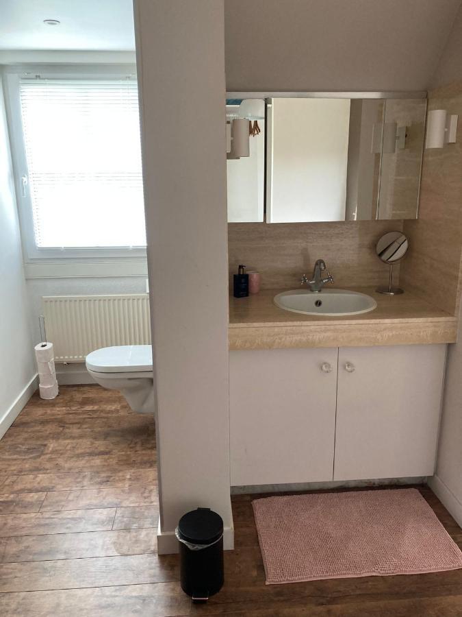 Rustig Appartement In Het Groen Met Terras Kontich Екстериор снимка