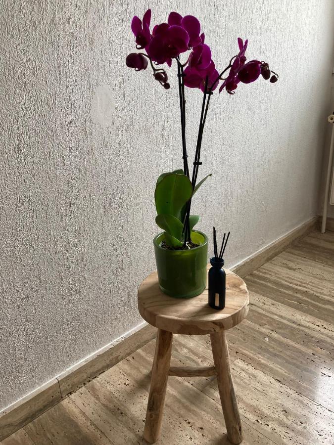 Rustig Appartement In Het Groen Met Terras Kontich Екстериор снимка